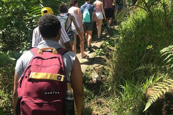 El Yunque Rainforest Guided Day Tour from San Juan - Lunch on the return drive