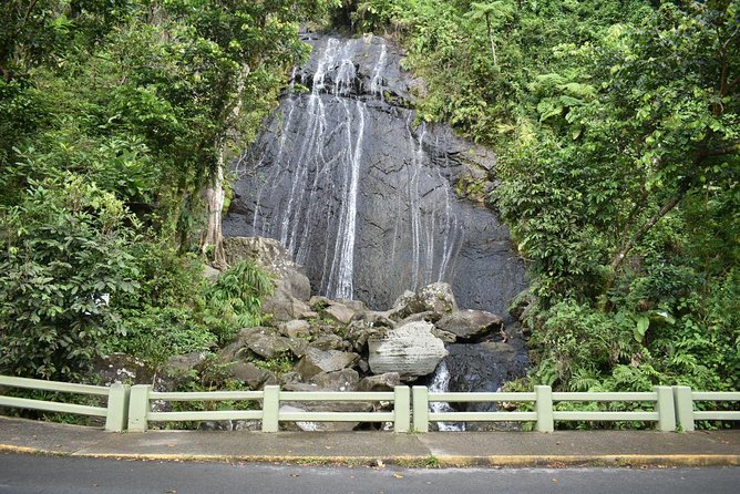 El Yunque Rainforest Guided Day Tour from San Juan - Who should choose this tour?