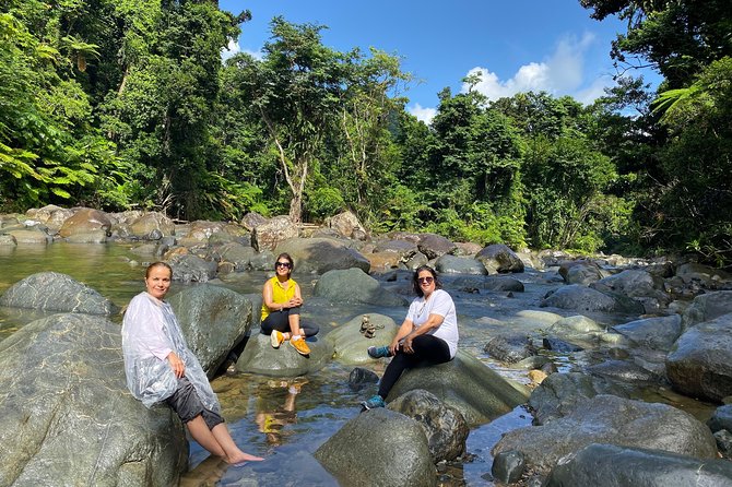 El Yunque Rainforest Guided Day Tour from San Juan - The ride from San Juan to the rainforest