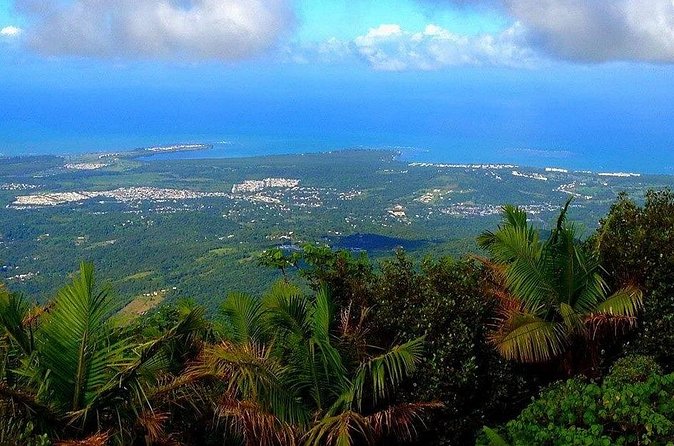 El Yunque Rainforest Guided Tour - The waterfall stop adds a quick scenic break