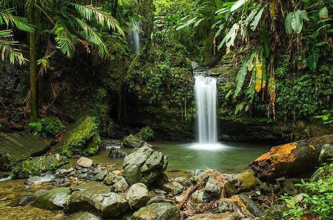 El Yunque Rainforest Guided Tour - River swimming is the most hands-on part