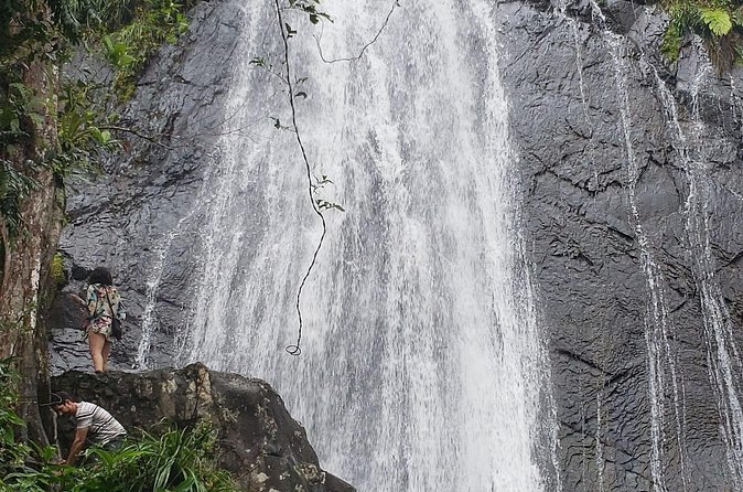 El Yunque Rainforest Guided Tour - What $75 buys you, and what it does not
