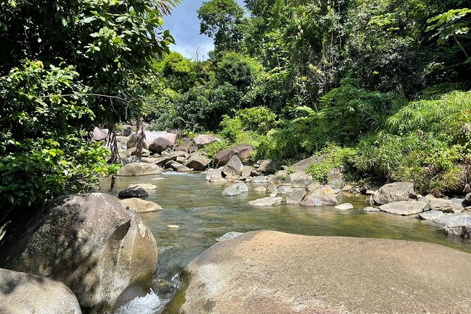 El Yunque Rainforest Hike and Luquillo Beach Tour - Why the $189 price can make sense