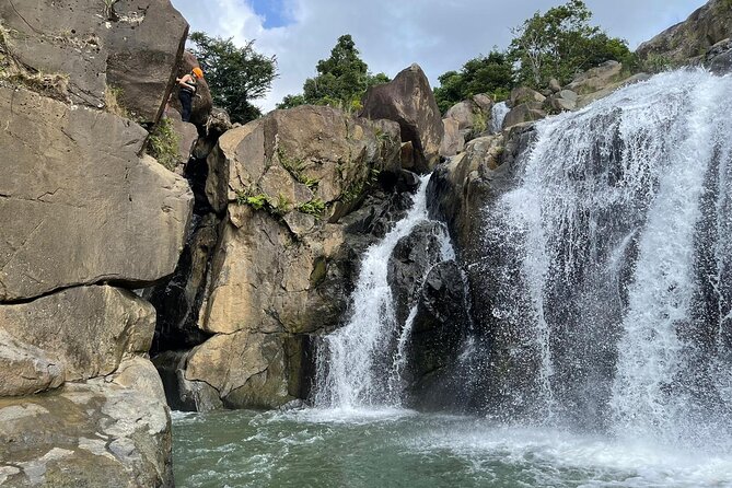 El Yunque Rainforest Hike and Luquillo Beach Tour - Weather, cancellations, and what to bring