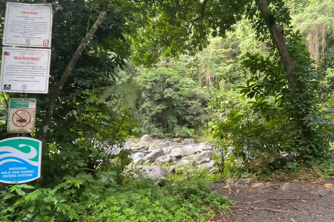 El Yunque Rainforest Hike with Transport from San Juan - Waterfalls, pools, and the reality of changing water levels