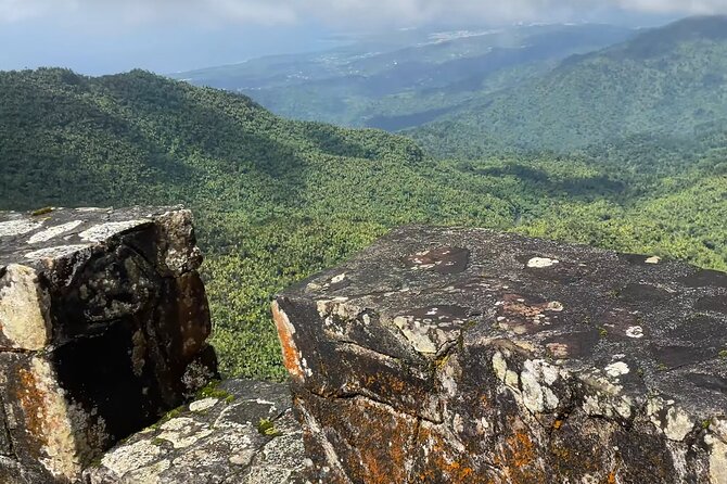 El Yunque Rainforest Hike with Transport from San Juan - What the $125 price really covers