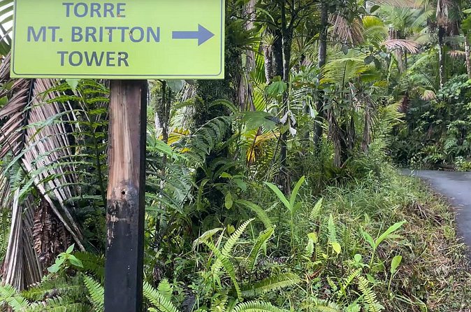 El Yunque Rainforest Hike with Transport from San Juan - Who will enjoy this half-day forest outing