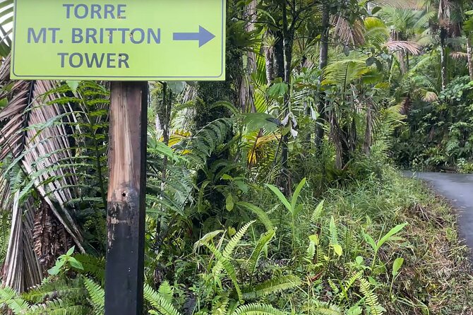 El Yunque Rainforest Hike with Transport from San Juan - The main rainforest visit, about four hours