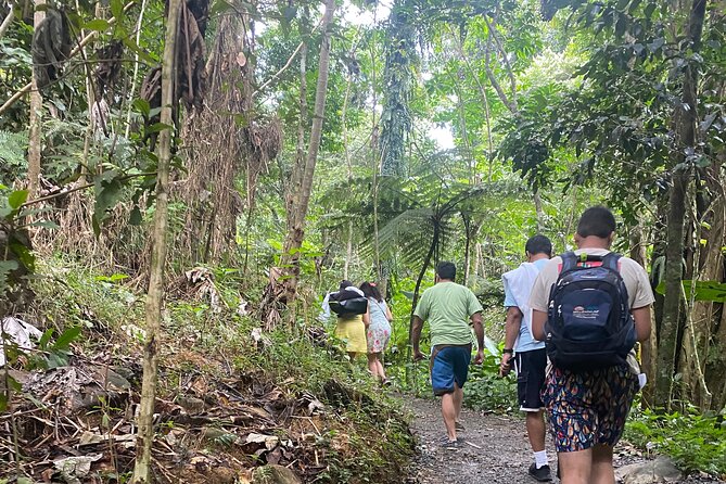 El Yunque Rainforest Hiking Tour from San Juan - Why this half-day trip works from San Juan