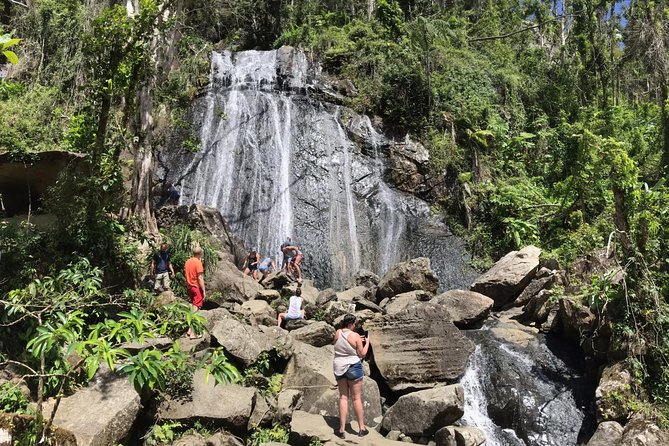 El Yunque Rainforest Hiking Tour from San Juan - La Coca Falls gives you an instant rainforest view
