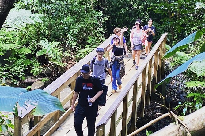 El Yunque Rainforest Hiking Tour from San Juan - Yokahu Tower offers the big view