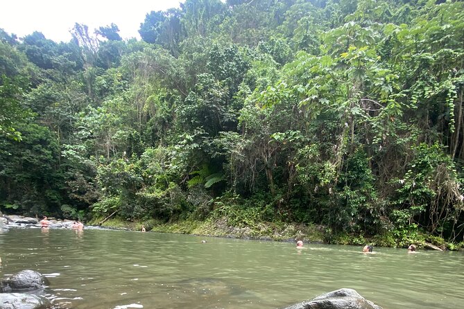 El Yunque Rainforest Hiking Tour from San Juan - The river stop depends on the weather