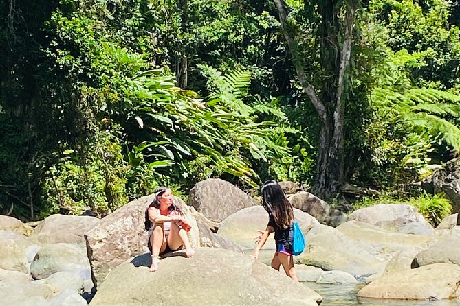 El Yunque Rainforest Hiking Tour from San Juan - Rain is part of the setting, not a surprise