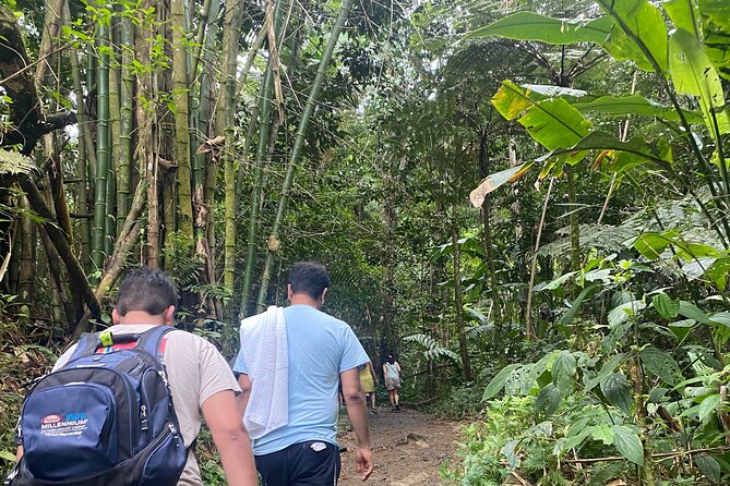El Yunque Rainforest Hiking Tour from San Juan - The guide can make or break the afternoon