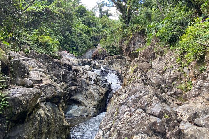 El Yunque Rainforest Morning River and Hike Adventure - From San Juan to Las Tinajas near Ceiba