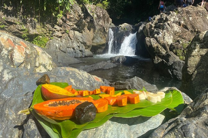 El Yunque Rainforest Morning River and Hike Adventure - The guide makes the difference