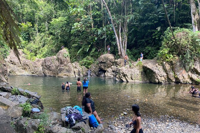El Yunque Rainforest Morning River and Hike Adventure - What the $120 price delivers