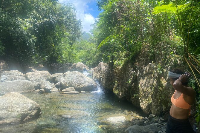 El Yunque Rainforest Morning River and Hike Adventure - Who should book this rainforest day