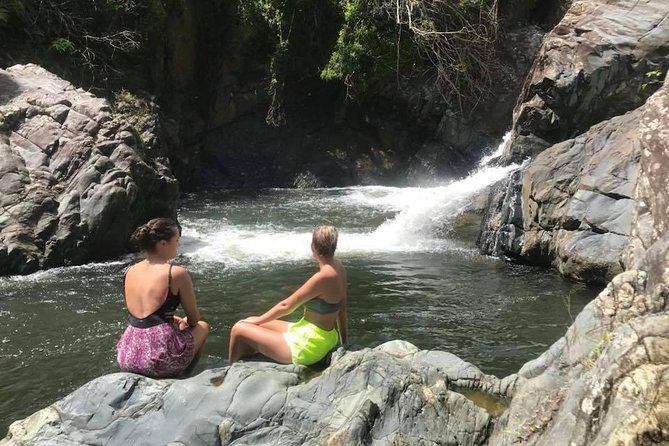 El Yunque Rainforest Tour from Fajardo - Key points to know before you go