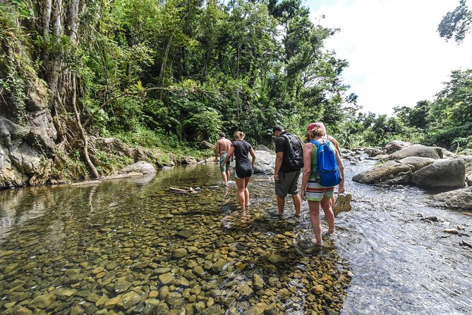 El Yunque Rainforest Tour from Fajardo - Las Tinajas: the first pool and small waterfall