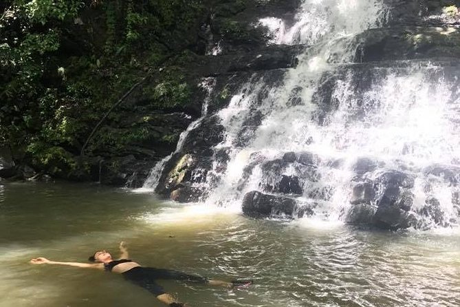 El Yunque Rainforest Tour from Fajardo - El Yunque setting, with an important qualification