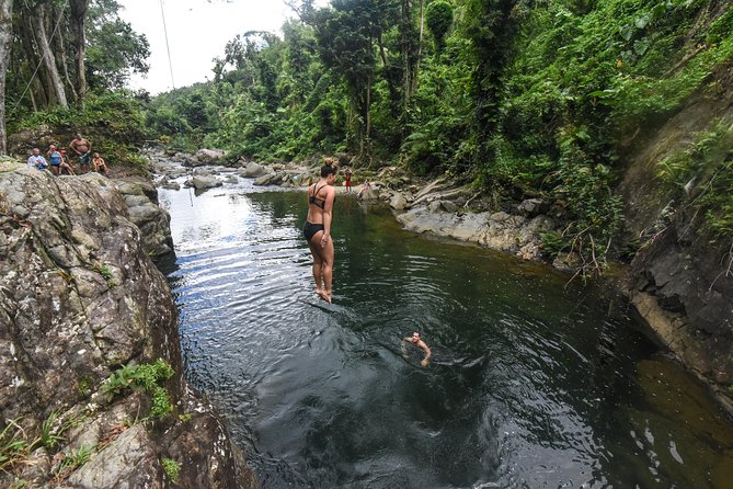 El Yunque Rainforest Tour from Fajardo - Is the $89 price fair?