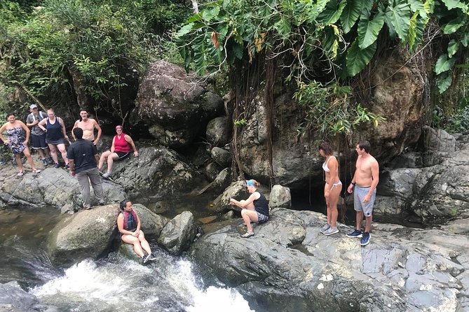 El Yunque Rainforest Tour from Fajardo - What to bring, and what to leave behind