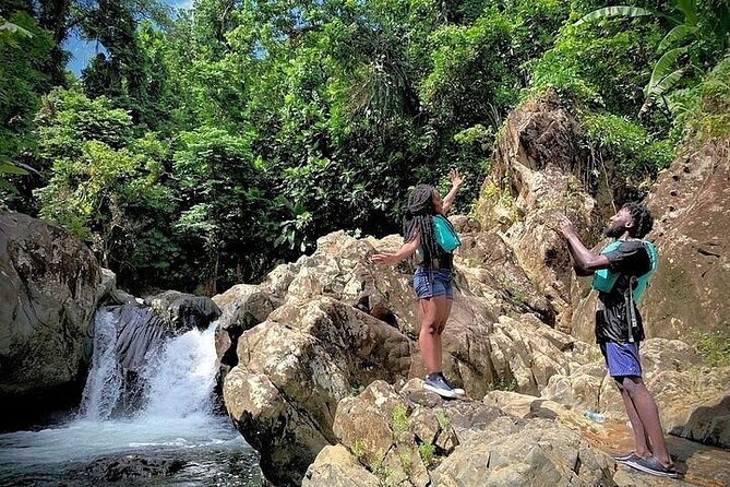 El Yunque Rainforest Tour Half Day Earlybird/ Small Groups - The quieter lagoon and waterfall section