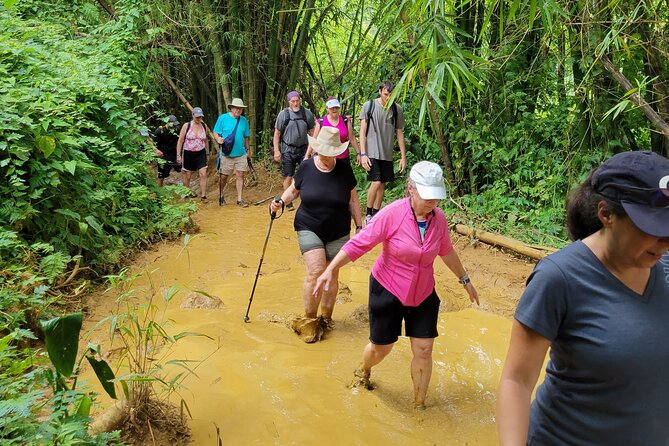 El Yunque Rainforest - Waterslide, Cliff jump, and Rope swing! - What to bring and what to expect