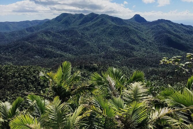 El Yunque Rainforest Waterslides and Luquillo Beach w/ Transport - Key points to know before booking