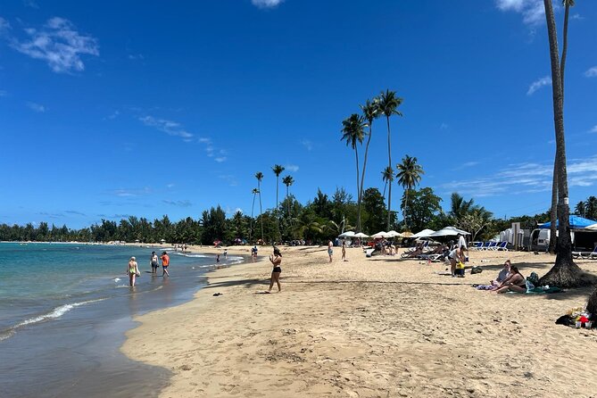 El Yunque Rainforest Waterslides and Luquillo Beach w/ Transport - Who will enjoy this outing most