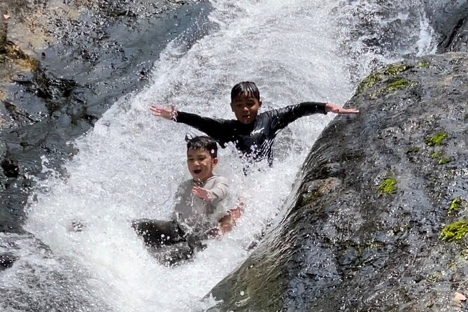 El Yunque Rainforest, Waterslides & Beach Tour from San Juan - What the guide adds to the day