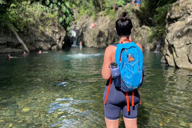 El Yunque Small Group Tour with Luquillo Lunch Stop and Transport - Is $90 a fair price?
