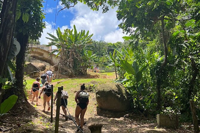 El Yunque Waterslide and Waterfall Tour with Food and Photos - Sliding through El Yunque the local way