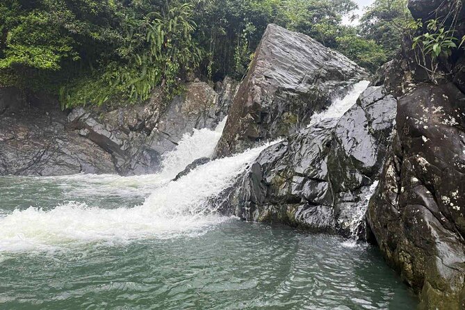 El Yunque Waterslides, Jumps, swing! small business owner:) - Key Points Before You Book