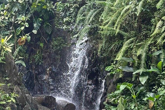 El Yunque Waterslides, Jumps, swing! small business owner:) - What the $40 Price Really Covers