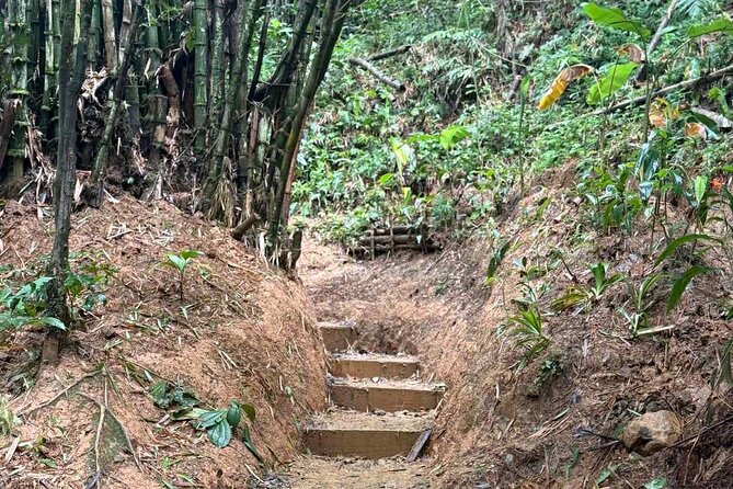 El Yunque Waterslides, Jumps, swing! small business owner:) - Who Will Enjoy This El Yunque Outing