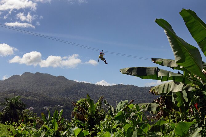 El Yunque Ziplining in Puerto Rico - Key points at a glance