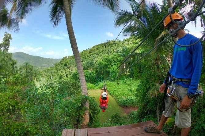 El Yunque Ziplining in Puerto Rico - Is $149 a fair price?