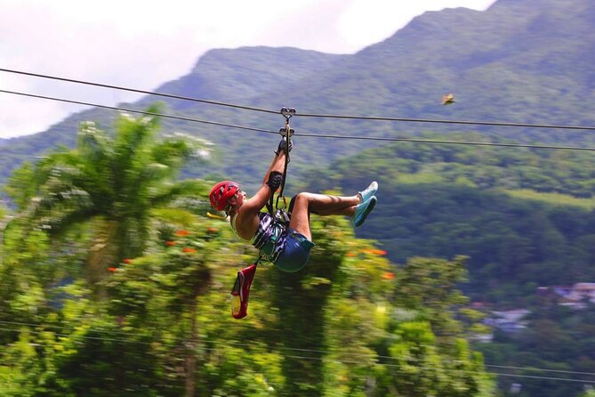El Yunque Ziplining in Puerto Rico - Timing, check-in, and the waiver