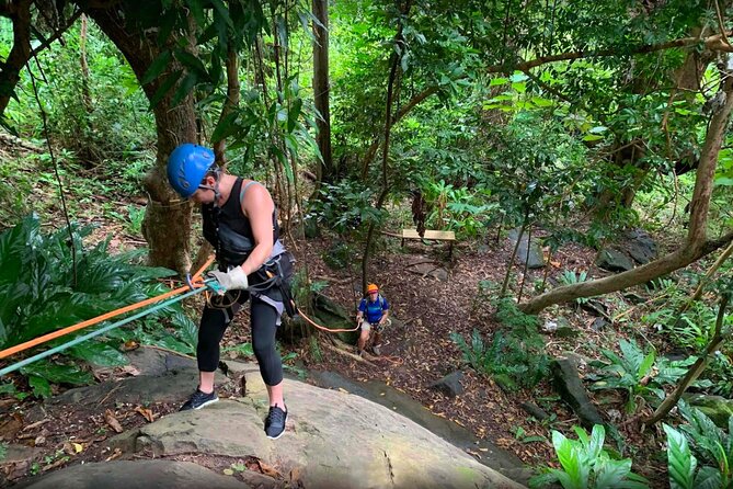El Yunque Ziplining in Puerto Rico - Who should book this Luquillo adventure?