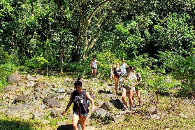 El Yunque Ziplining with River and Beach Visit - From San Juan to the foothills of El Yunque