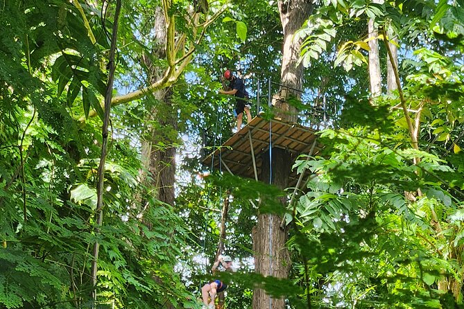 El Yunque Ziplining with River and Beach Visit - Timing, comfort, and what to bring
