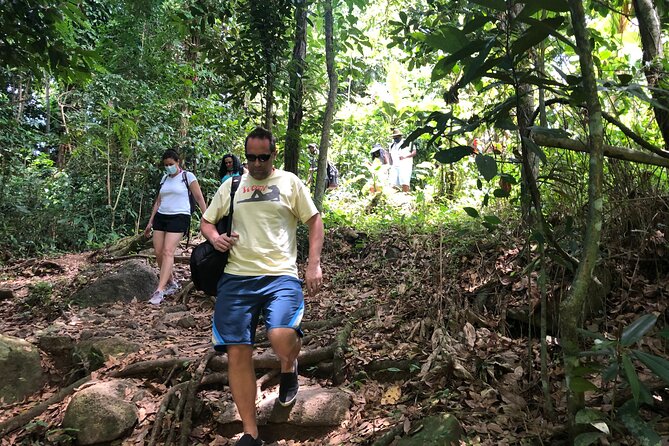 Epic Guided Adventure in El Yunque National Rainforest & Beach - Who gets good value at $69