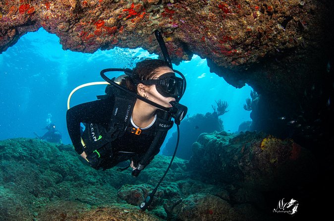 Experience Scuba - Why the instruction matters for beginners