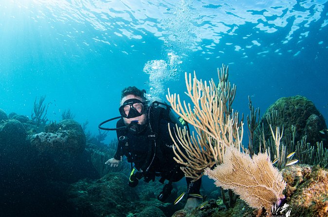Experience Scuba - Is $150 a fair price?