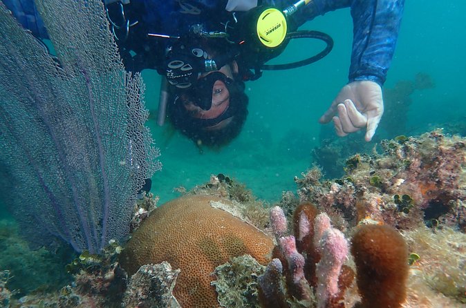Experience Scuba Diving / NO certification Needed - Who will enjoy this most