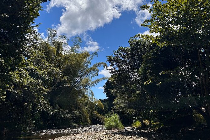 Explore El Yunque: Hiking, Swings & Waterslide (Small Group) - First pool: swimming, swinging, and optional jumps