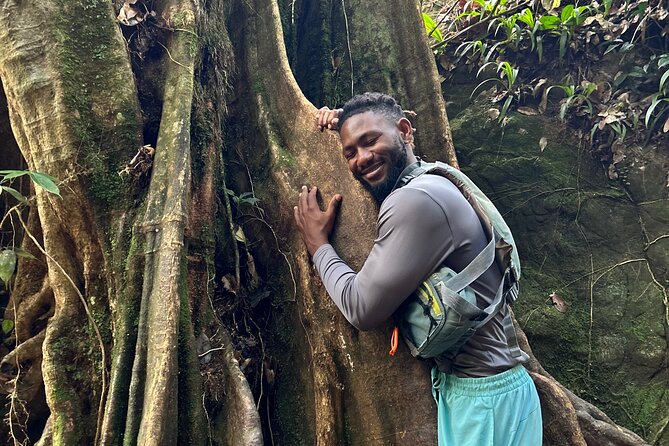 Explore El Yunque: Hiking, Swings & Waterslide (Small Group) - Safety, pace, and the guide’s real value