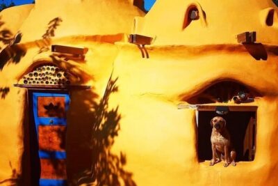Explore Indigenous Roots, Experience a day in the life of a Taíno
